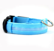 Safety Dog LED Collar