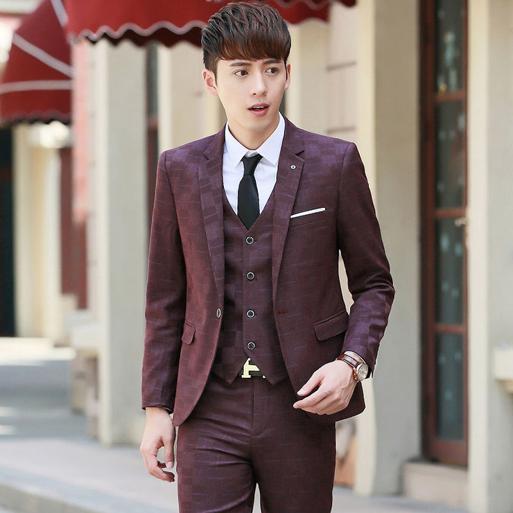 Young Handsome Groom Wedding Suit