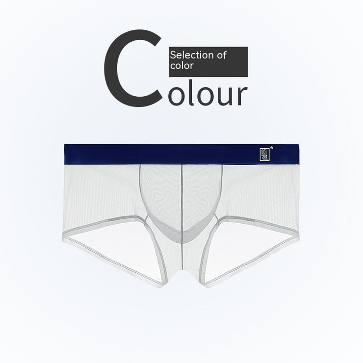 Thin Ice Silk Mesh Boxer Shorts For Men