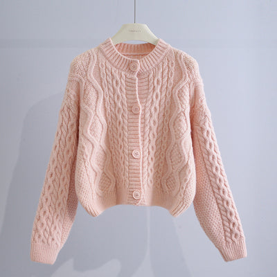 Women's Fashion Loose Twist Sweater Cardigan Jacket