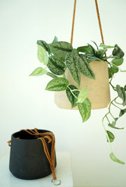 Nordic Wall Hanging Cement Hanging Flower Pot