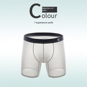 Ice Silk Lengthened Anti Wear Legs Men's Underwear