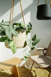 Nordic Wall Hanging Cement Hanging Flower Pot