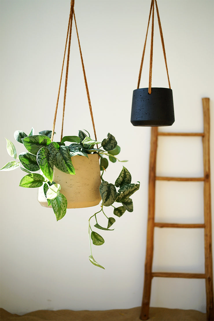 Nordic Wall Hanging Cement Hanging Flower Pot