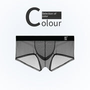 Thin Ice Silk Mesh Boxer Shorts For Men