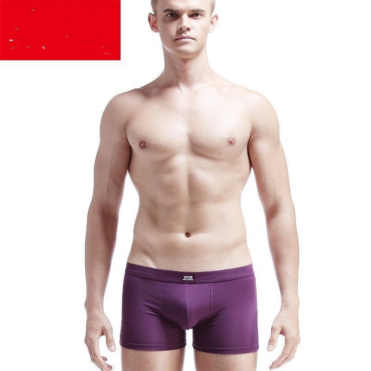 Men's Underwear Men's Boxer Summer Ice Silk